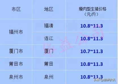 莆田今日猪价一斤多少钱（莆田猪肉价格今日价一斤多少钱）
