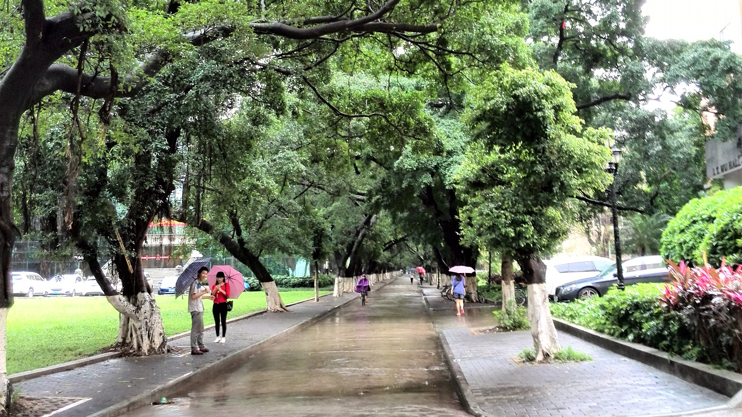 中山大学：广东人眼里的华南一霸，知名度不过长江？