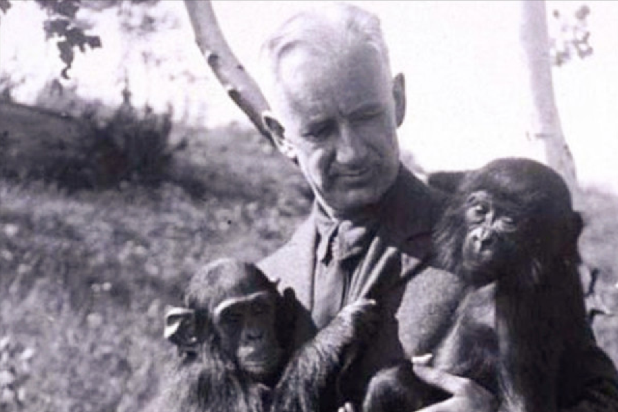 苏联的科学家招募了5位年轻女性，进行了大猩猩的子孙实验，结果怎么样。