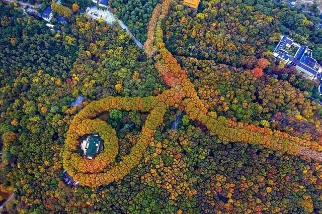 南京豪宅发源地，润系著品再登临