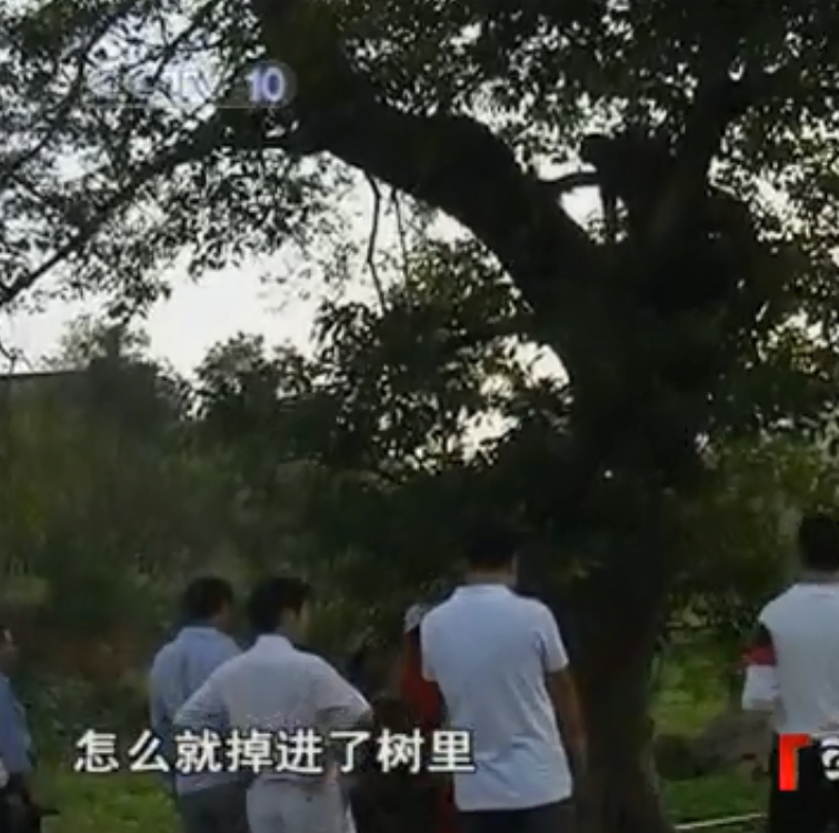 2009年，重庆百年老树里传出哀嚎声，大妈吓得报警：古树里有个人