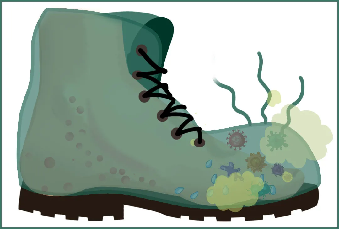 这种令人尴尬窒息的味道，女性比男性还容易有？