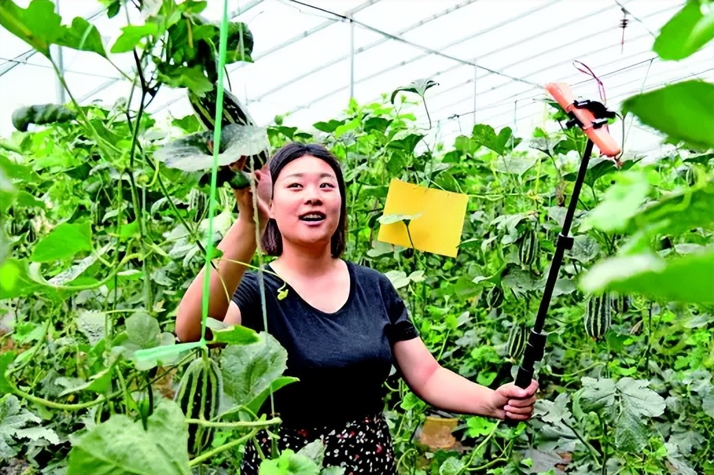 专家：数字农业关键还是人才；前置仓模式：重资产、成本巨大