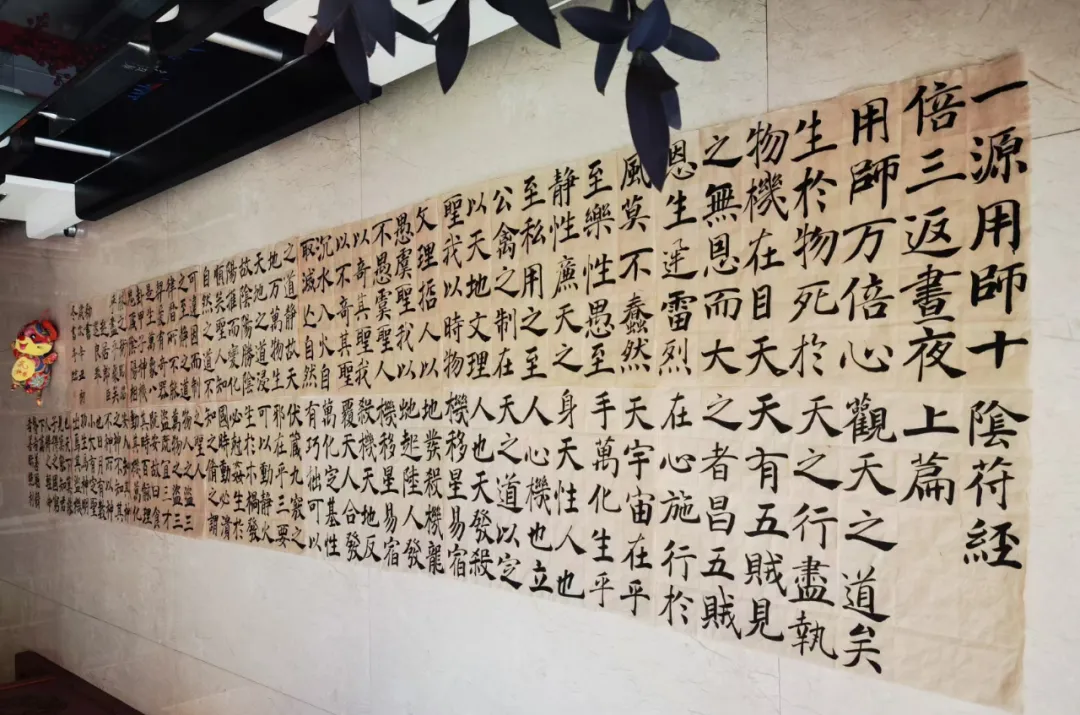 sisi老师年终总结——在逆风中迎风破浪