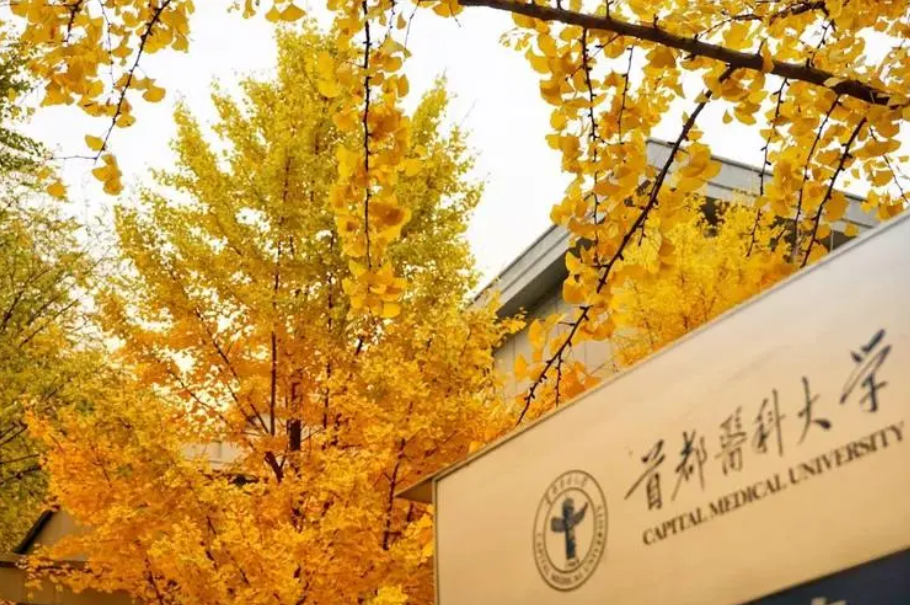 国内大学也有等级划分，多数学生都止步于第四档，你在哪一档？