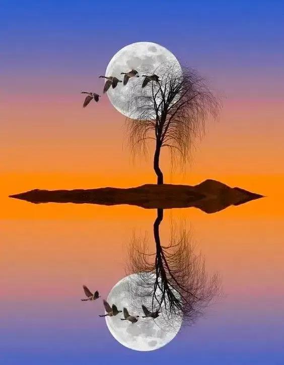 光与影的完美契合,守着夕阳,守望美好生活