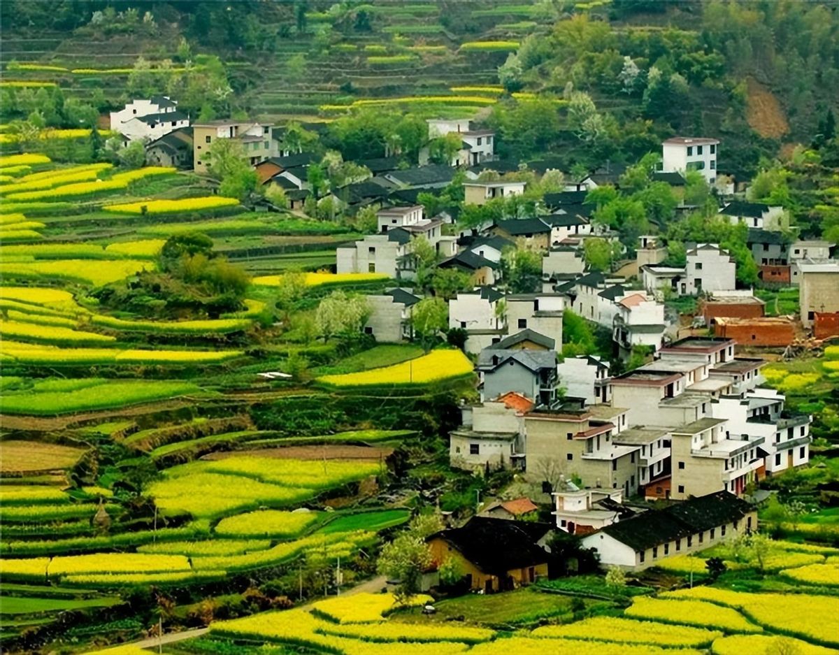 2020年，贵州24岁女大学生去世时仅43斤，为救弟弟一天花两块钱