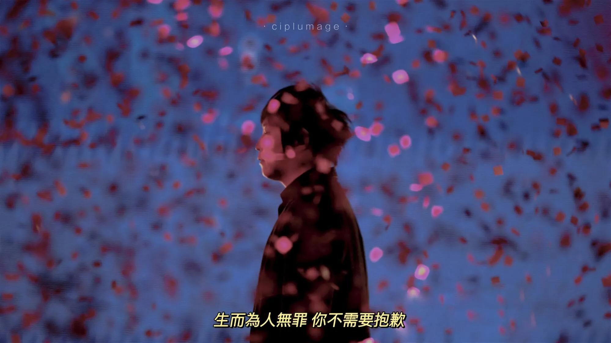 《玫瑰少年》:玫瑰有刺 少年无罪 只因性别歧视 生命永远定格在15岁