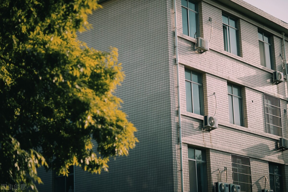 业界内口碑非常好的5所专科学校，学生就业质量比较高，收藏