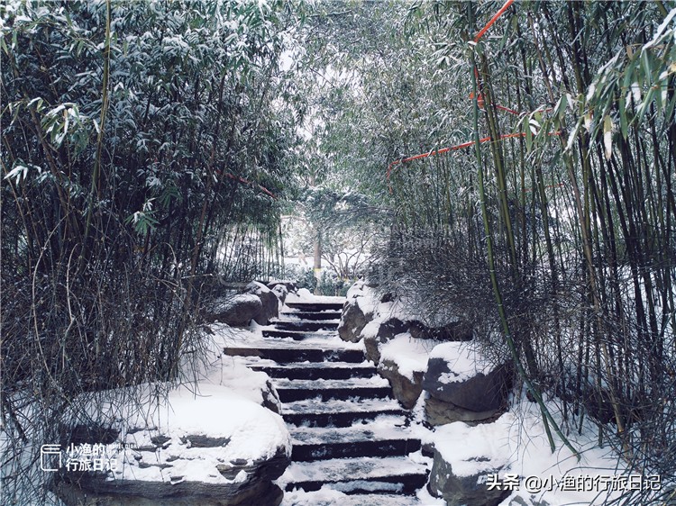 一下雪，西安就穿越了几千年！随手一拍，便是绝色长安