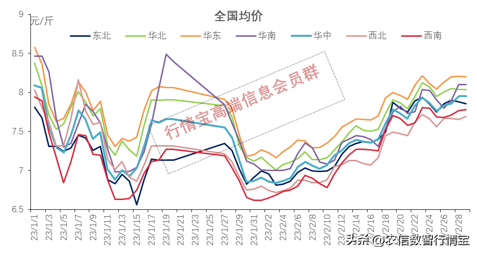 小猪仔价今日猪价（今日猪价小猪多少钱）