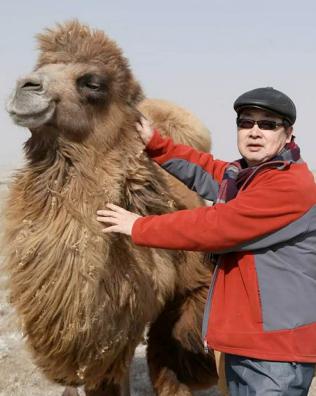 红星闪耀·绘中华——名师名家未来小画家美术人才作品展