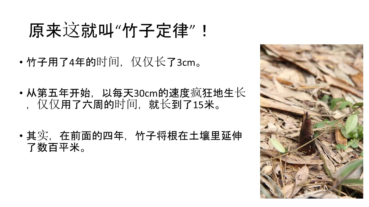 高调做事，低调做人：学会在喧嚣中保持谦逊与沉稳