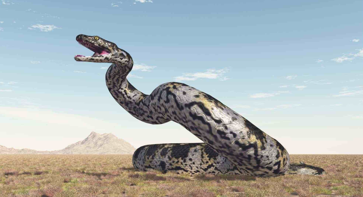 蛇蟒蚺虺蛟龙谁最大图片