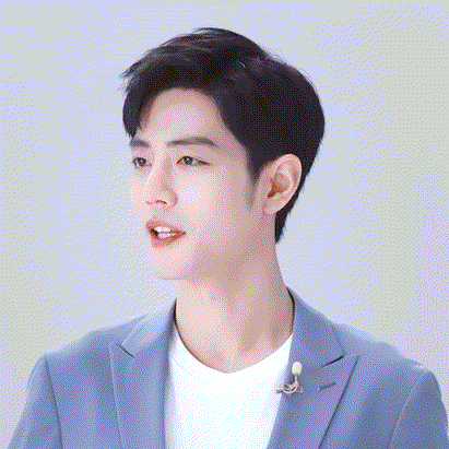 存个记录,寻艺前20数据排名 肖战占了17 个,肖战好牛