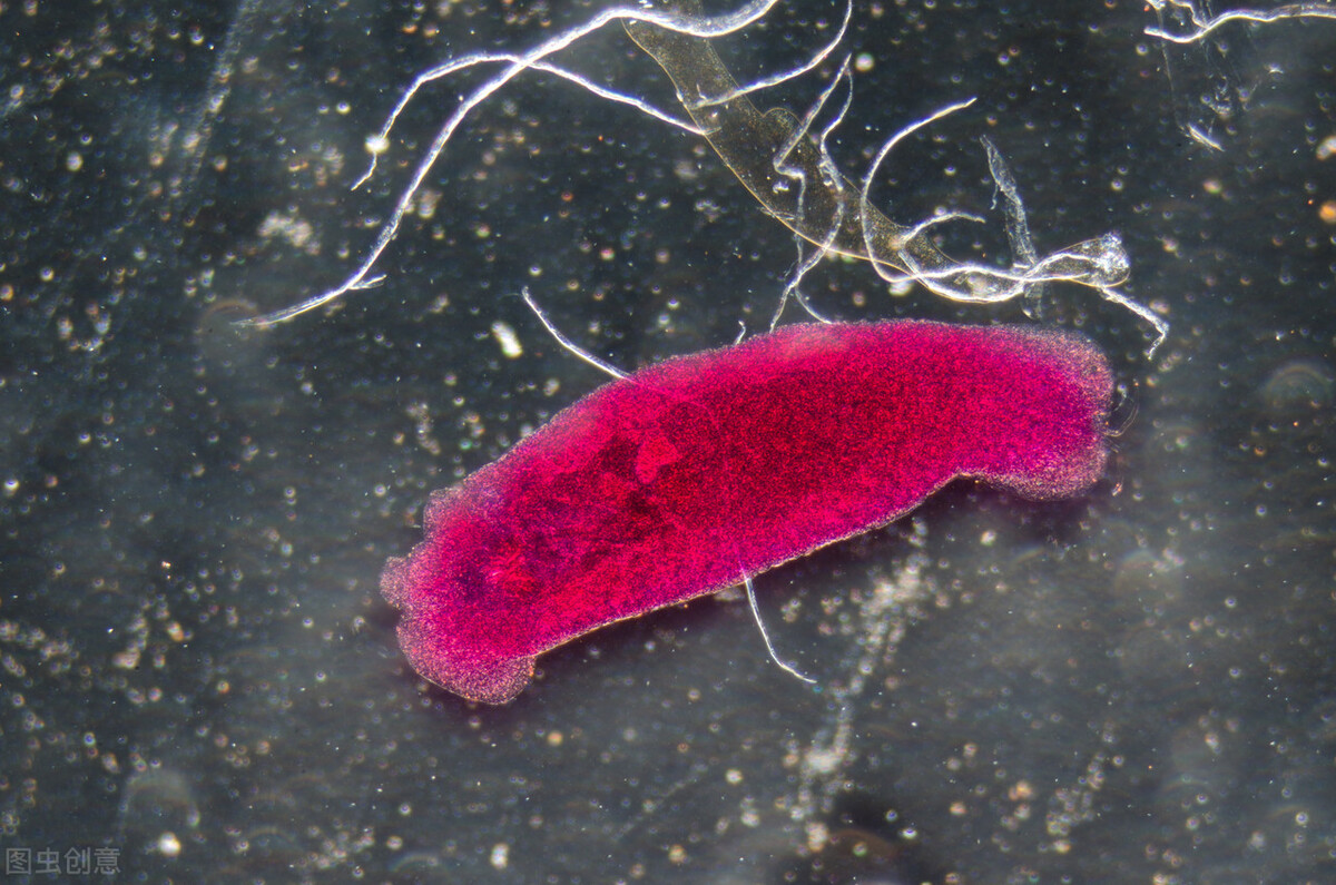 学生未来想创业，看看这5大专业，能够大幅度提升学生的成功率