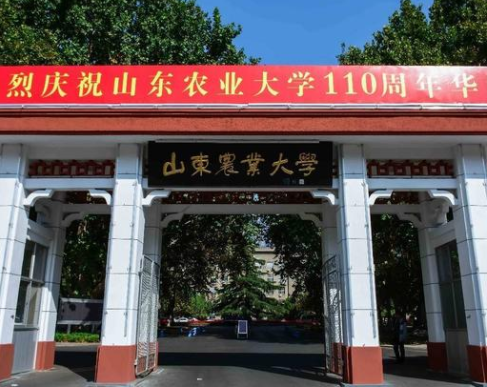 山东这所大学曾排名第四，深受高考学生青睐，如今却有点冷清