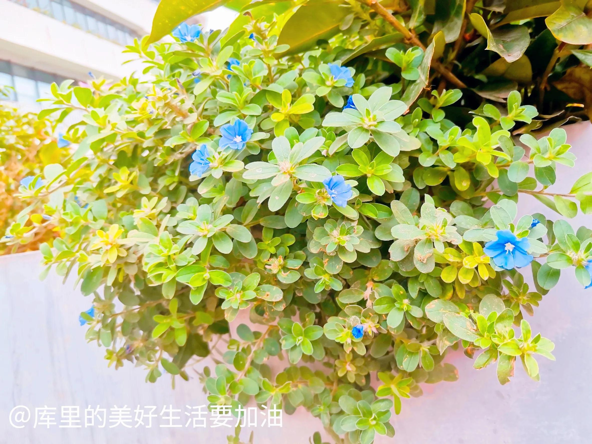 五个翻身的小生意