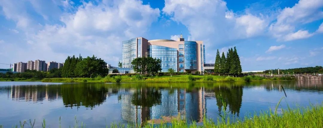 全国仅5个！又一“重量级”科技奖揭晓，四川大学女科学家团队上榜！