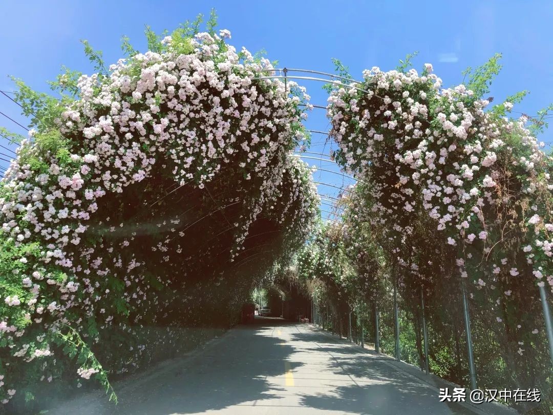 深呼吸小鎮(zhèn)歡迎你，漢臺這個(gè)鎮(zhèn)入選全國預(yù)選名單