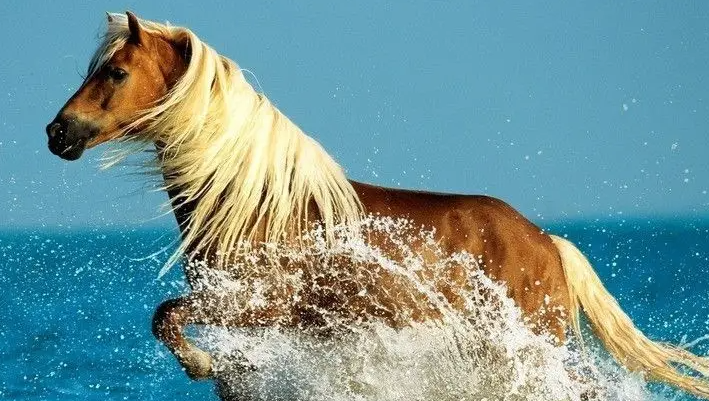 25个损人不带脏的语句，学会一半你就是一个高手