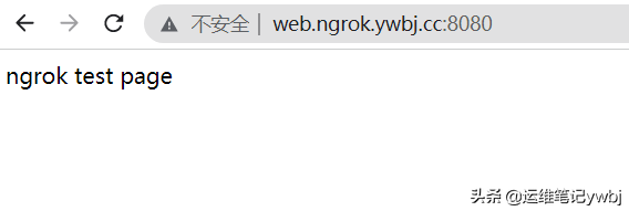 Linux搭建ngrok服務(wù)器，內(nèi)網(wǎng)穿透服務(wù)，實(shí)現(xiàn)外網(wǎng)到內(nèi)網(wǎng)的在線訪問(wèn)