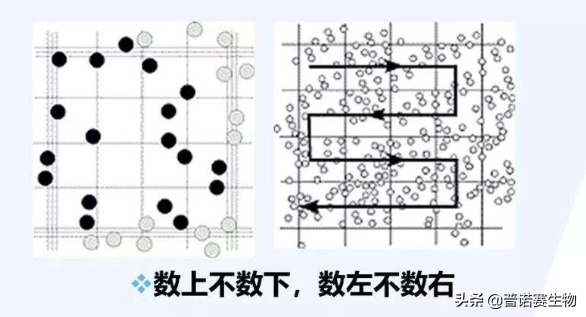 细胞培养必备实验技能之——细胞计数