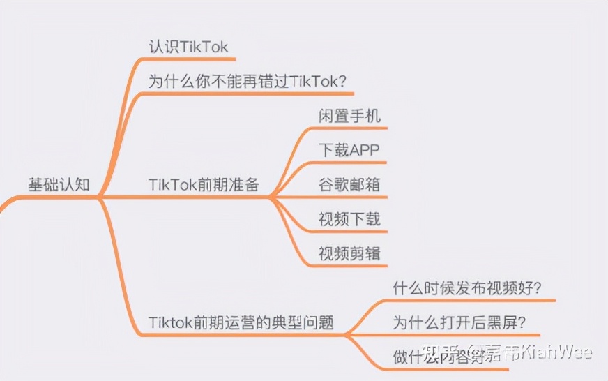 苹果怎么注册国外id（TikTok）