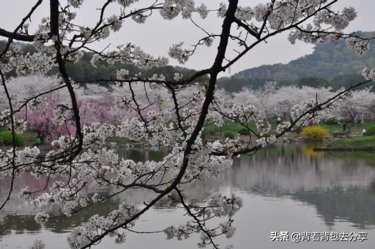 湖北必玩的十大景区，全部去过，才算真正的玩转湖北