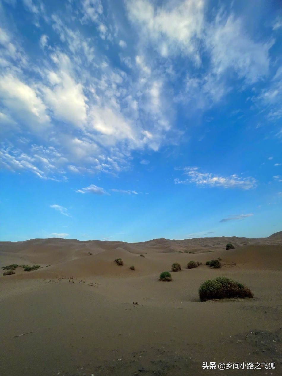 angelababy晒新疆美景照 蹲地与小朋友们合照亲和力十足