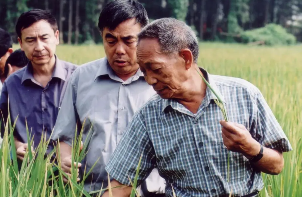 怎样才能成为运动员(“虽然用不到，但忍不住想窥探”，成为中科院院士的7个步骤)