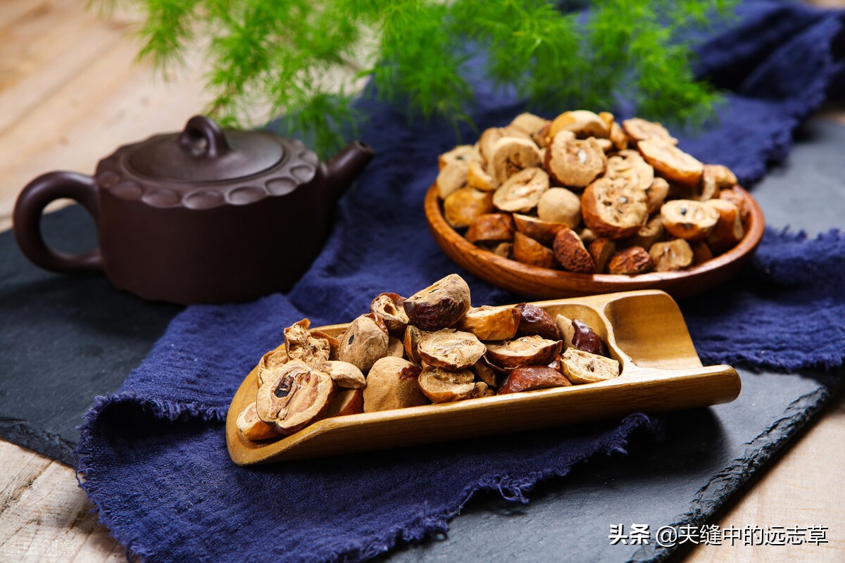 冠心病、高脂血症，多因淤血停，送你味中，血管的清道夫