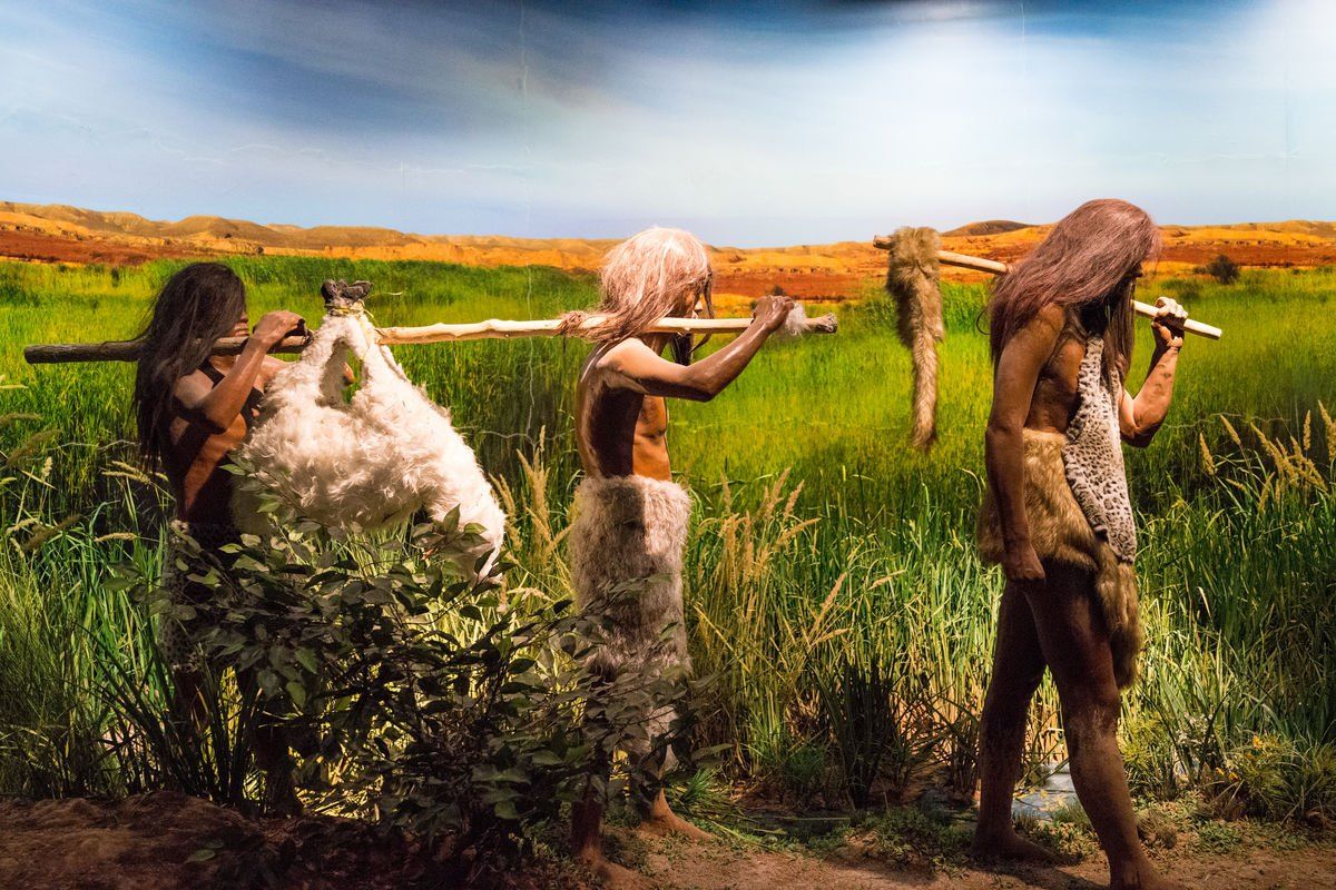 足球已越来越疯狂（足球为什么让人疯狂？）