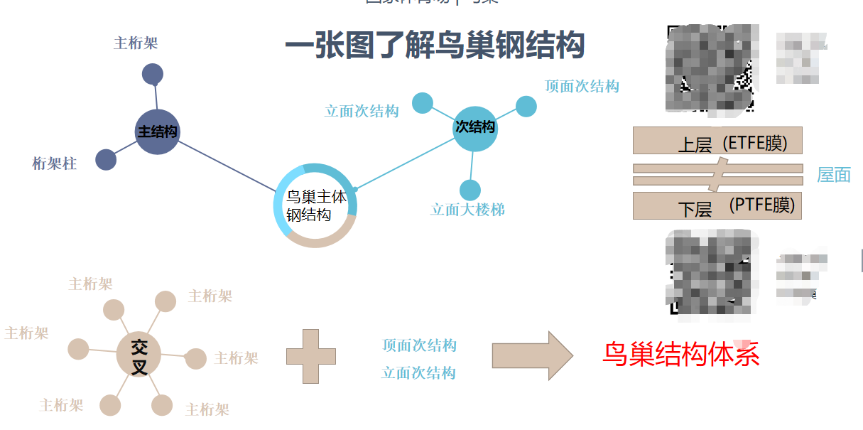 鸟巢结构设计原理图片