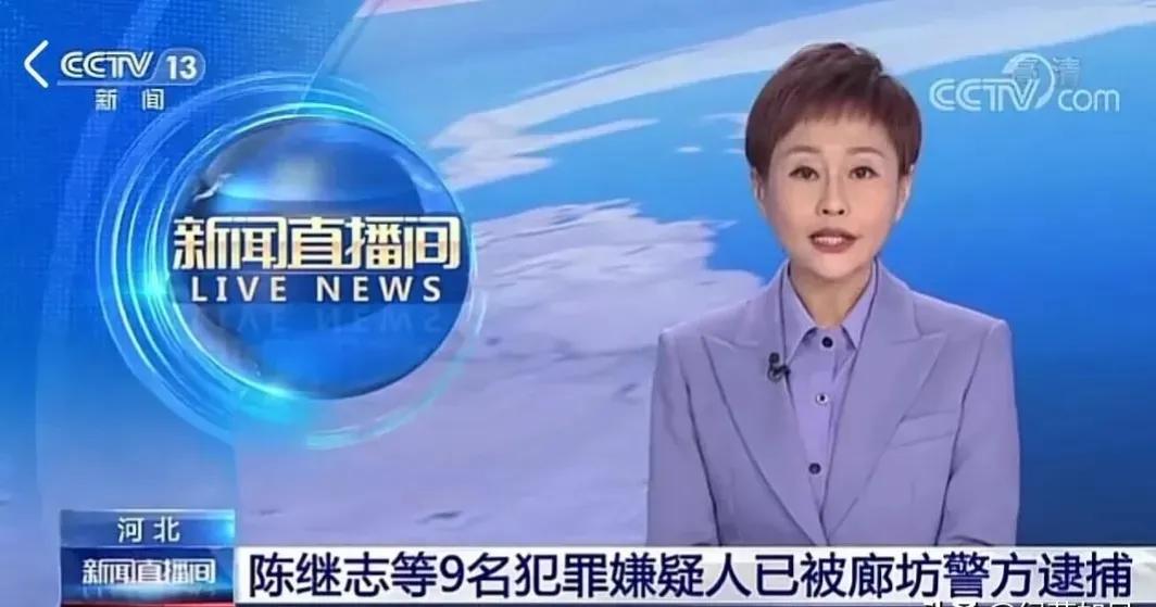 有人尋求和解（細思極恐！主犯百萬求和解，央視特別報道，不嚴懲難平民憤）