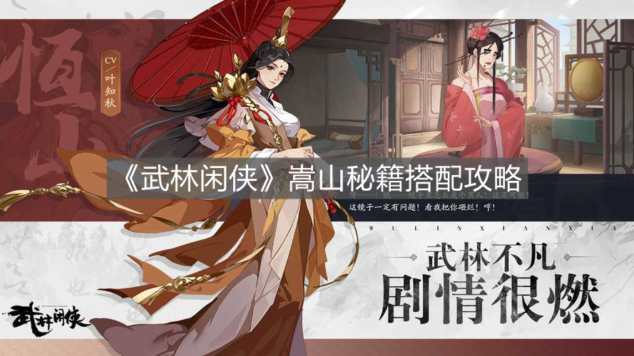 武林闲侠嵩山秘籍怎么搭配
