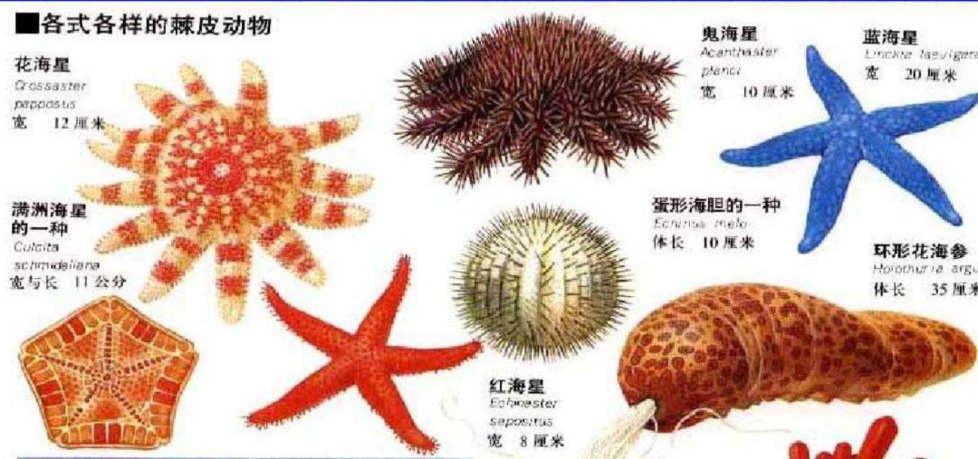 3����ǰ��һ�š���˿������Ƕ��ʯ���У��ҿ�һ��ʷǰ���۷�ʱ��