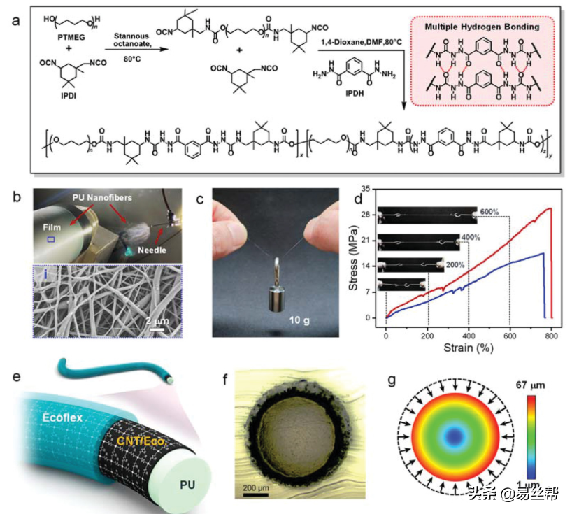 《Advanced Materials》2022年1-4月关于“静电纺丝”的重要研究