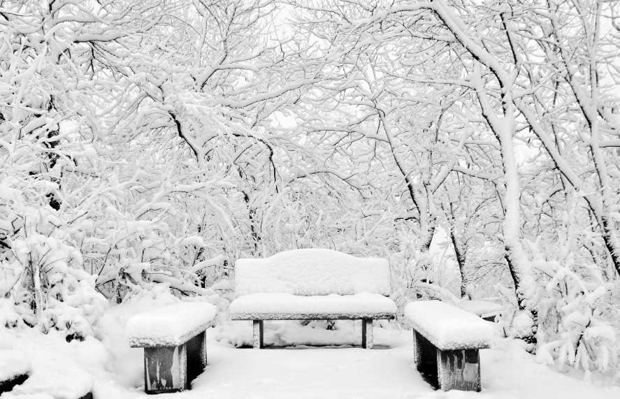 一场大雪美如画，十二首雪景的诗词，欣赏诗人笔下的绝美雪景