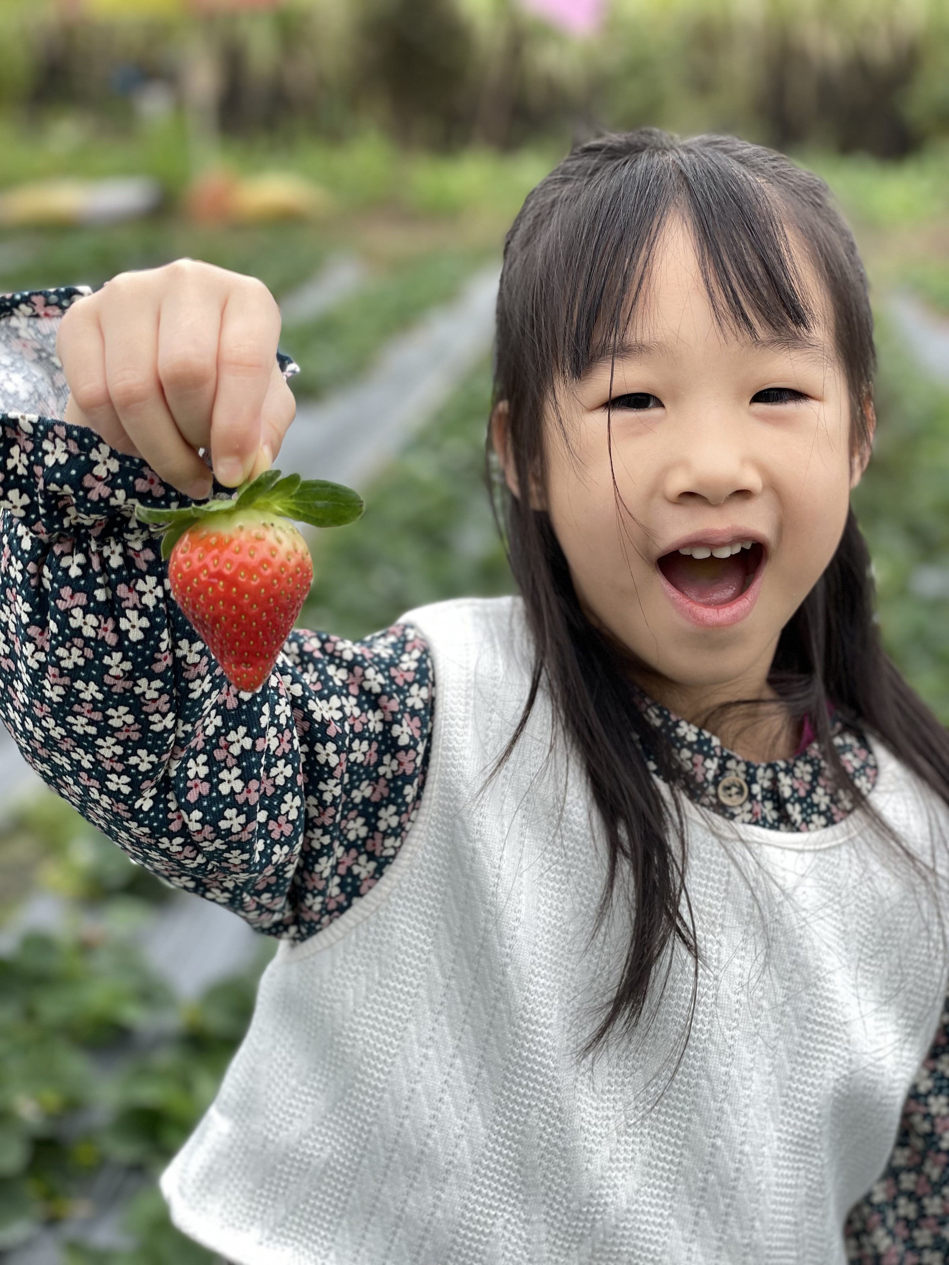 广东泡温泉去哪里？记得收藏广州后花园南昆山的游玩一站式攻略