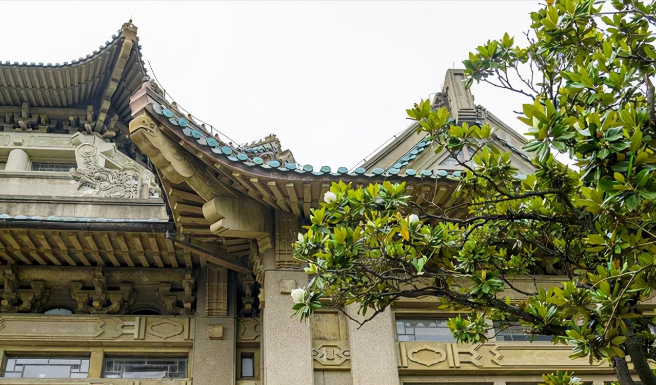武漢大學裁撤醫學專業，直屬學院停辦，學生直言：早應該如此了