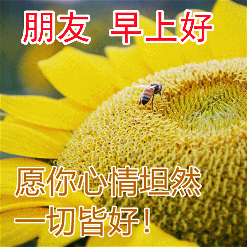 微信下雨表情 今日头条娱乐新闻网