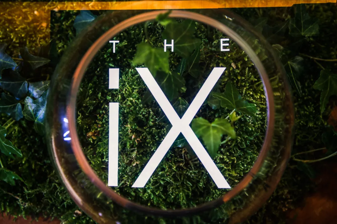 创新BMW iX北区私享品鉴开启绿色豪华出行新体验