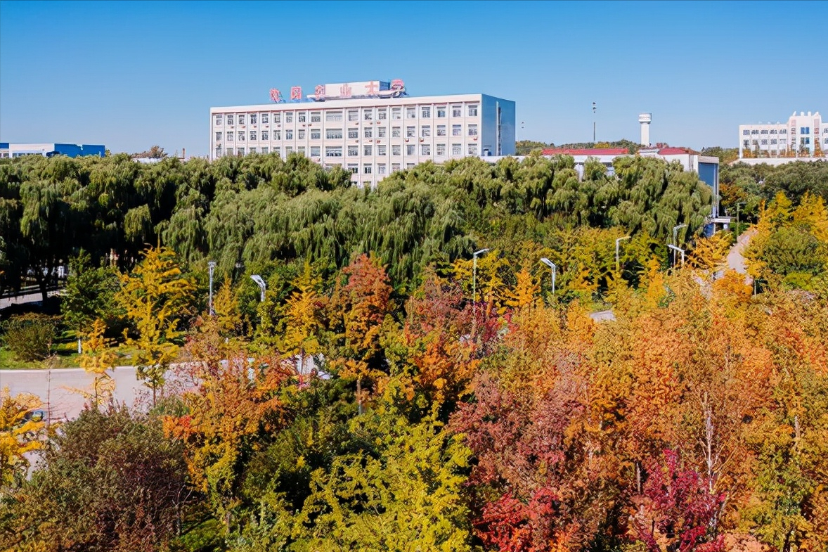 沈阳大学原来的名字是什么?是几本院校呢?