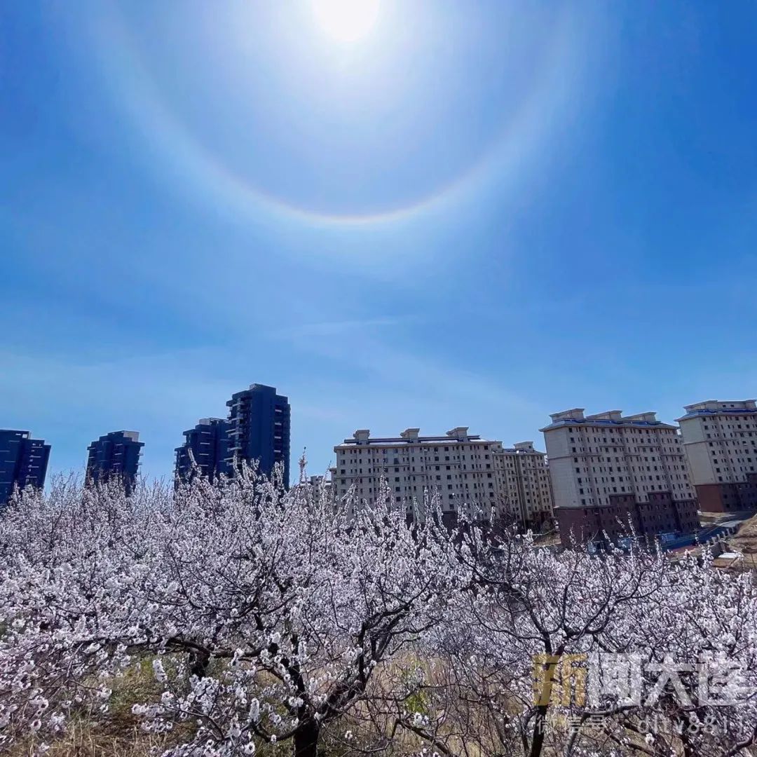 今天的朋友圈，有点儿“晕”