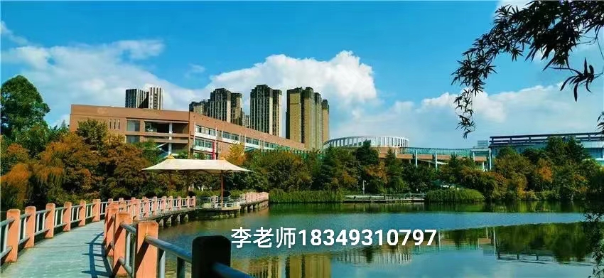 四川城市职业学院安排就业吗