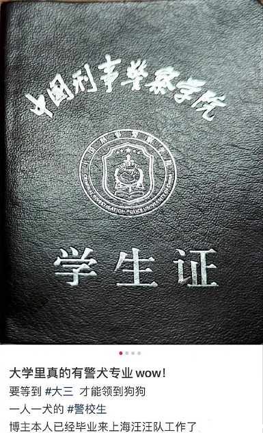 大学神仙专业火了，大三分配一只狗，大四就业不用愁，你心动了吗