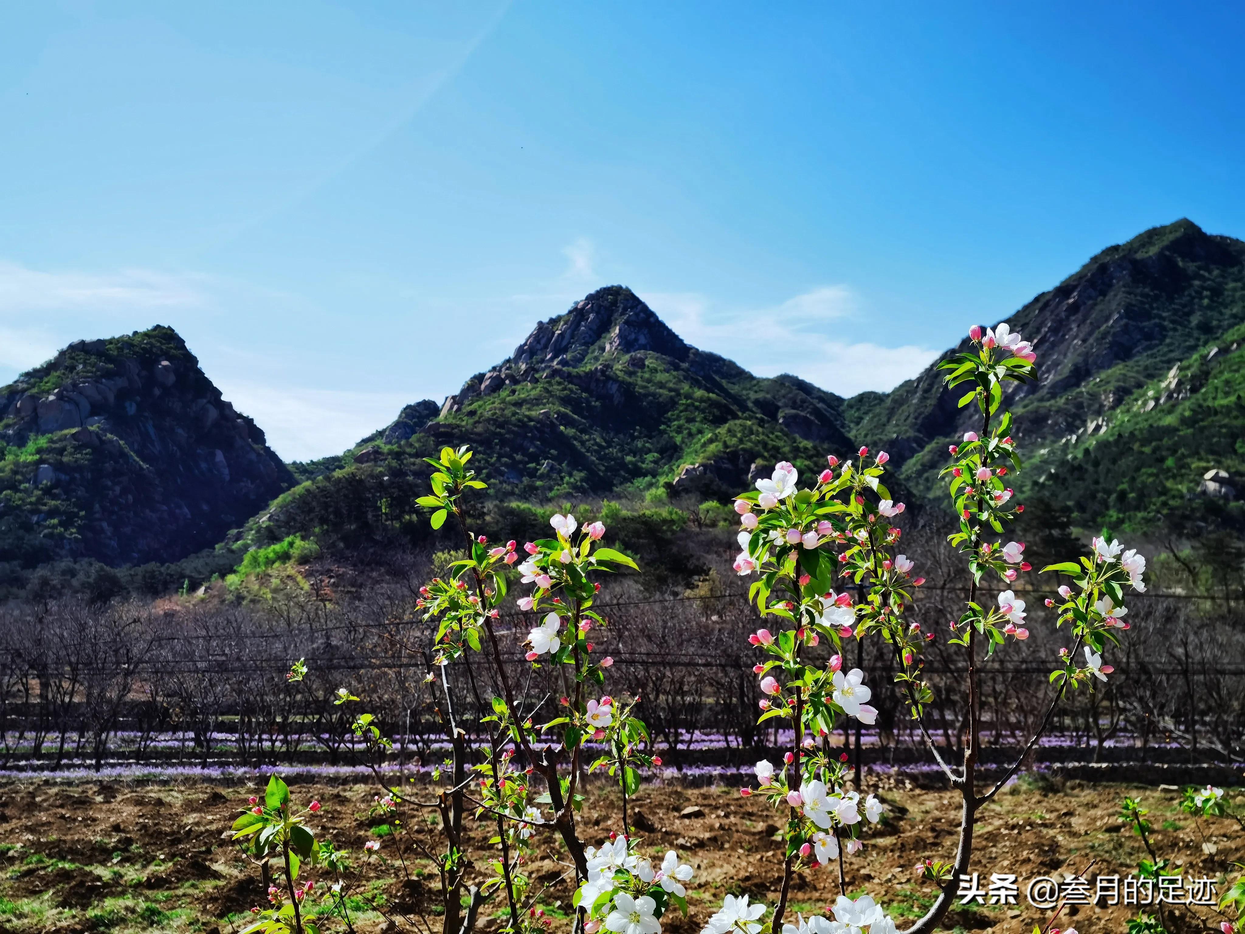 北京昌平，自驾游环线轻徒步线路，大黑山木栈道之旅