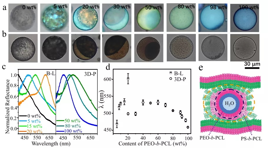 天津大学研发复杂光子结构的高效制备策略，有望作为环保光子颜料