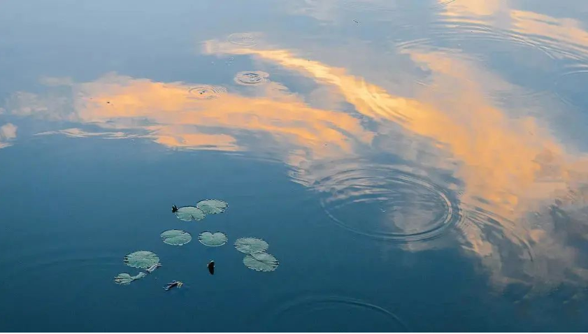 央媒盛赞！这所985到底有多浪漫？上天入海，追星揽月！网友：浪漫到骨子里！